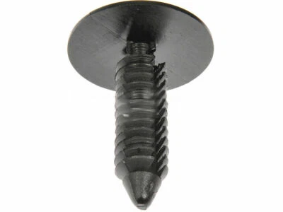 Tornillo de bisagra de puerta Dorman 92832PR 2016 2017 para Chevrolet Express 2500 2015-2018 Foto 1 de 2