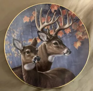 The Hamilton Collection Interlude Portraits of the Wild 1993 James A Meger Plate - Picture 1 of 5