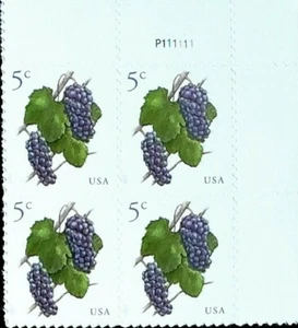 1 #5177 .05 GRAPES PB OF 4. BIN $1.29. - Picture 1 of 1