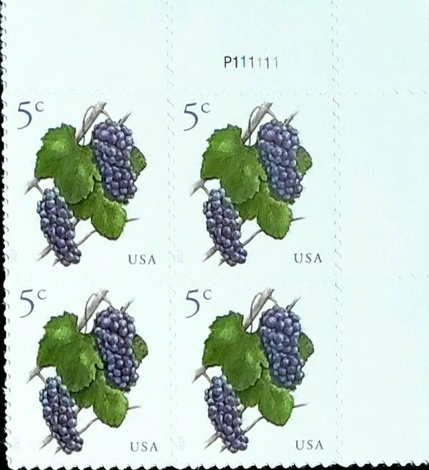 1 #5177 .05 GRAPES PB OF 4. BIN $1.29. - Image 1 of 1