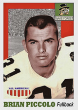 BRIAN PICCOLO 55 ACEO ART CARD c## BUY 5 GET 1 FREE ### or 30% OFF 12 OR MORE