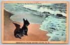 Greetings From Silver Creek NY 1948 Postcard Scotty Dog Waiting for Beach Pals