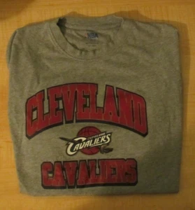 NBA Cleveland Cavaliers Lebron James #23 Gray T-Shirt Size XL - Picture 1 of 7