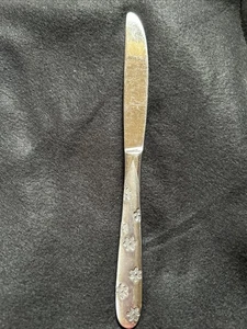 Oneida Daisy Frost Besteck Buttermesser Rarität Muster Ersatzstück MCM - Bild 1 von 8
