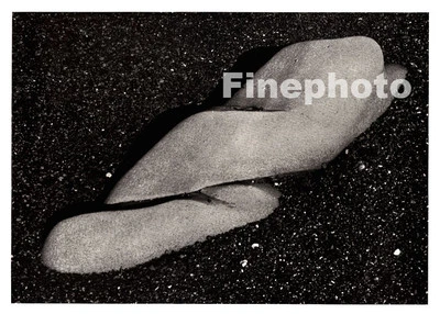 1930/1949 Vintage California POINT LOBOS Foto Grabado Arte Decoración EDWARD WESTON Foto 1 de 2