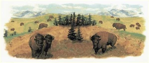 Calcomanía de cerámica Buffalo Wrap Wrap envolvente 1 pieza 7,75 x 3 pulgadas sobreesmaltado tobogán acuático - Imagen 1 de 1