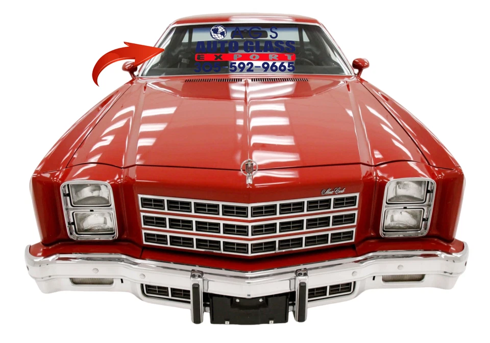 1973-1977 BUICK,CHEVROLET,GMC,OLDSMOBILE,PONTIAC, PÁRA-BRISA DW00803GBN - Imagem 1 de 1