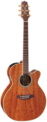 Guitarra occidental TAKAMINE EF508KC Foto 1 de 3