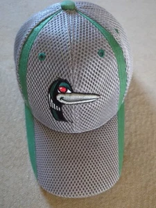 MiLB Lou E Loon Maskottchen Plüschtier und Baseballmütze Great Lakes Loons Midland - Bild 1 von 9