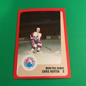 1988-89 ProCards Hockey - Chris Norton - Moncton Hawks AHL (NM)