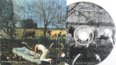 TORI AMOS CD Caught A Lite Sneeze UK 1 Track PROMO Picture Disc in PS UNPLAYED - Image 1 of 4