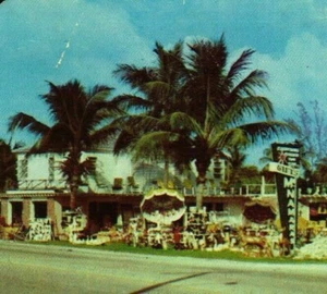 Business Card McNamara's Gift Shop Florida FL Roadside View - Picture 1 of 3