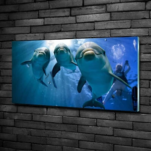 Acrylglas-Bild Wandbilder Druck 100x50 Deko Tiere Drei Delphine - Bild 1 von 6
