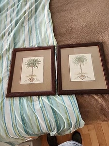 Global Palms Musa Paradisiaca And Phoenix Dactylifera Pictures In Wooden Frames - Picture 1 of 9