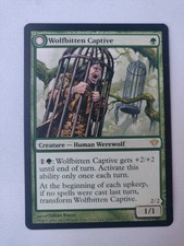1 WOLFBITTEN CAPTIVE   Krallenhorde Killer ~mtg NM Dark Ascension Rare x1