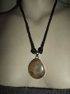 COLLANA NECKLACE CIONDOLO PENDANT AMMONITE FOSSILE ORTHOCERAS ARGENTO 925 SILVER - Foto 1 di 10