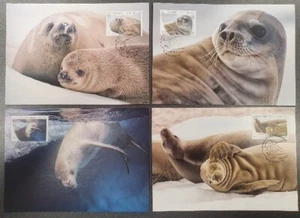 Australian Antarctic • 2018 • Official Maximum Cards • Crabeater Seal (4) - Picture 1 of 1