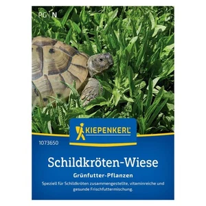 Saatgut Schildkrötenmischung - Bild 1 von 2