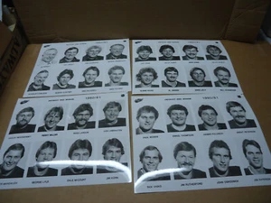 Detroit Red Wings 1980-81 glossy hockey photo sheet group of 4 - Picture 1 of 1