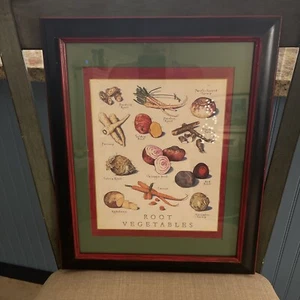 Köche illustrierte Wurzel Gemüse Küche Kunst von John Burgoyne individuelle Rahmung - Bild 1 von 5