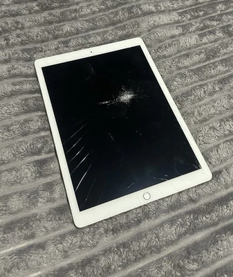 Apple iPad Pro 1st Gen. 128GB, Wi-Fi, 12.9 in - Gold - Image 1 of 4