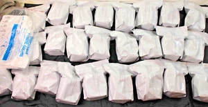 Guangzhou Wondfo Biotech Co .Ltd. TDDA-6135F T-Cup 13 Panel Case of 25 Cups - Picture 1 of 9