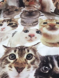 The Real Cat Fabric Realistic Nylon 1 Yard White Tabby Persian F39 - Picture 1 of 6