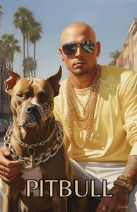 Póster Pitbull Mr 305 11x17 estampado brillante fanáticos de Pitbull arte animal - Imagen 1 de 2