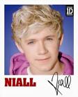 One Direction : Niall Polaroid - Mini Poster 40cm x 50cm new and sealed