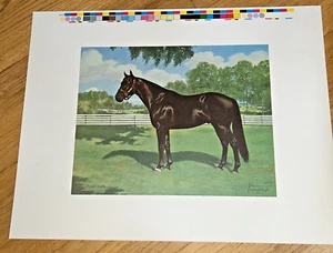 CHIEFTAIN (Horse) PRINT by ALLEN BREWER Jr. - Picture 1 of 5
