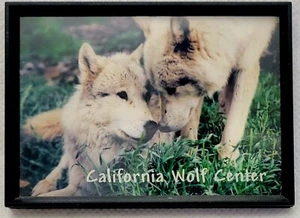 Refrigerador imán de nevera California Wolf Center Wolves - Imagen 1 de 4
