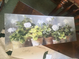POTTED WHITE FLOWERS by Danhui Nai, Giclee Canvas Wall Art - Picture 1 of 7