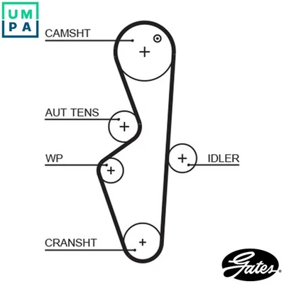 TIMING BELT 5617XS FOR TATA ROVER 475 Si 1.4L 4cyl B-LINE14K2 1.4L 475 Si 1.4L - Image 1 of 4