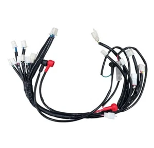 COOLSTER 3125R 3125XR8 3125XR8 ATV WIRING HARNESS WH11 - Picture 1 of 1