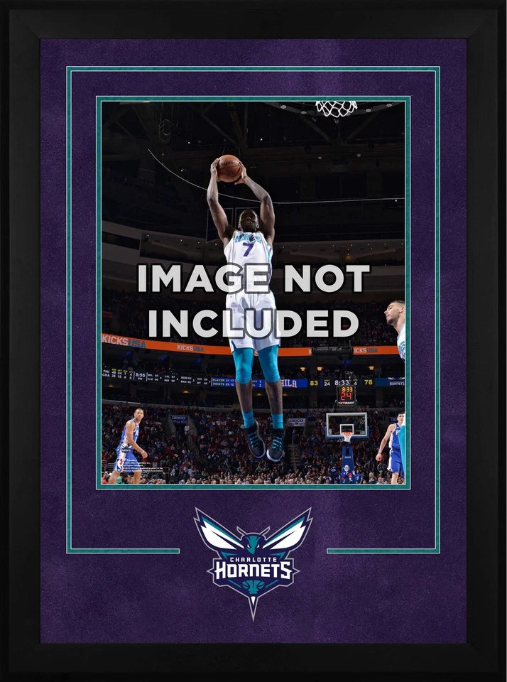 New Orleans Hornets Deluxe 16" x 20" Frame - Image 1 of 1