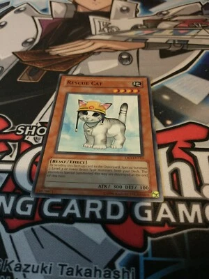 Rescue Cat - DR3-EN153 - Common LP Dark Revelation 3 Yugioh - Image 1 of 4