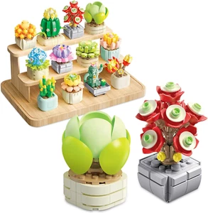 STEM Succulents Plants Building Set Mini Bricks Bonsai Model Christmas Brithday - Picture 1 of 14
