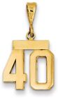 14K Yellow Gold Small Polished Number 40 Charm Sp40