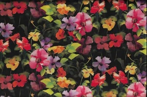 45" 100% cotton floral fabric "morning glory" by 3 Wishes Fabric - Picture 1 of 1