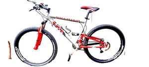 Neuwertiges Rotwild All-Terrain-Vintage-Mountainbike von 2004, 250 km! - Bild 1 von 10