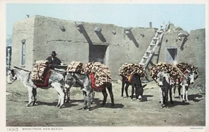 "Wood Train" Native American, New Mexico Vtg Postcard Fred Harvey Phostint - Picture 1 of 2