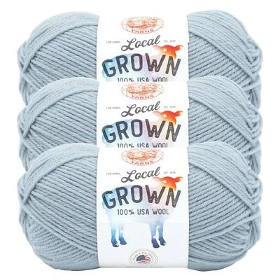 (3 Pack) Lion Brand Yarn 668-109AR Local Grown Yarn, Bluegrass - Image 1 of 4