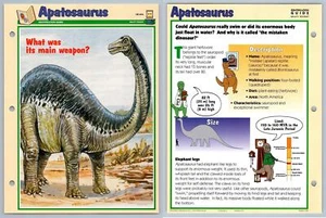 Apatosaurus - Identification Guide - Dinosaurs! - Orbis Play & Learn Fact Card - Picture 1 of 1