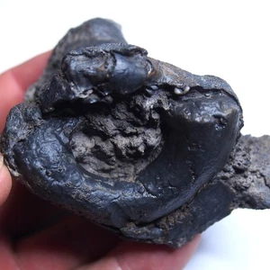 294gr Rugosa, Tabulata Czech Fossil Coral Devonian 1539 - Picture 1 of 22
