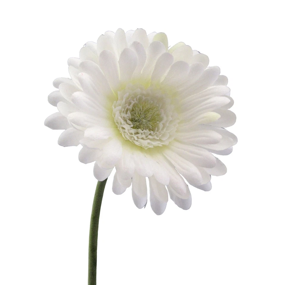 Kunstblume GERBERA 50cm. Künstliche Blume in weiß WEISS - Bild 1 von 1