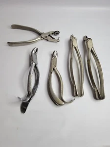Set Of 5 Vintage Dental Plires/forceps Clev-dent - Picture 1 of 7