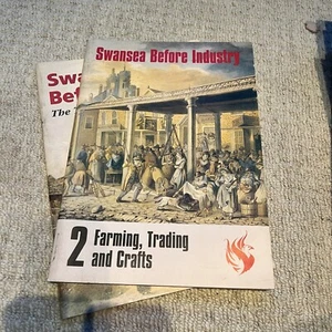 Swansea vor der Industrie - Stadt und Umgebung / Landwirtschaft Handel - Bild 1 von 2