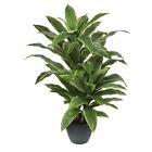 Potted Natural Touch Yucca Plant X 2, 42"