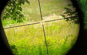 Bushnell Sportview Duplex 4x Rifle Scope Gloss Black Crystal Clear Lenses Japan - Picture 1 of 7