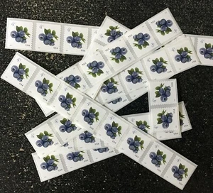 2022USA #5653 4c Blueberries - Coil Various Length Strips (50) wedding postage  - Picture 1 of 1